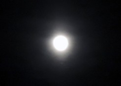 2013年4月25日 満月間近の月
